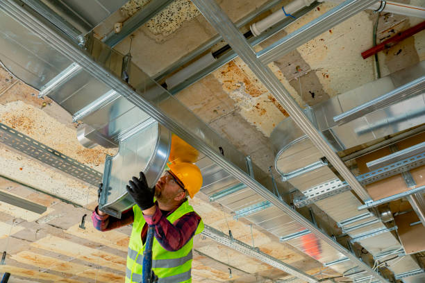 Best Best HVAC companies  in Hainesvle, IL