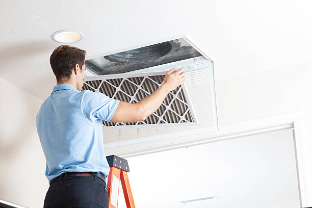 Best HVAC system installation  in Hainesvle, IL